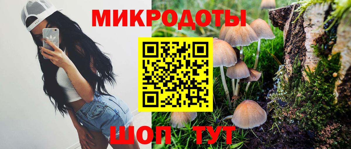 Томск  Псилоцибиновые грибы Psilocybine cubensis  Галлюциногенные грибы MAGIC MUSHROOMS  Вход с VPN 